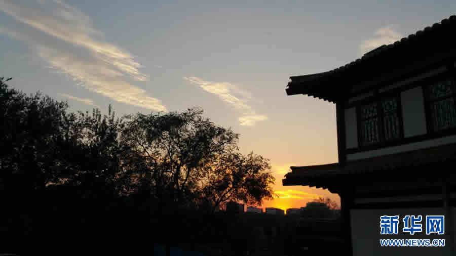 (yng):ϼŶ