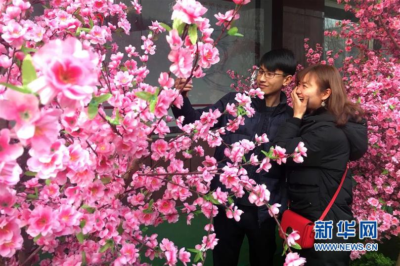 (新華網)(2)山東濟南:人面桃花愛意濃